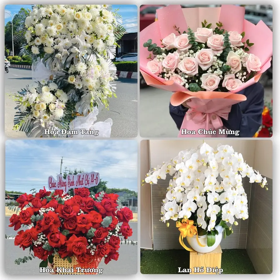 Mẫu hoa tươi dành cho khách đặt hoa tại Chi Đông, Mê Linh