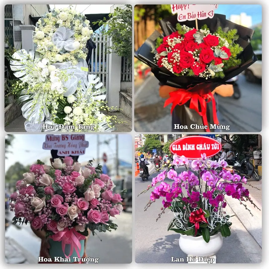 Mẫu hoa tươi dành cho khách đặt hoa tại Chí Thạnh, Tuy An