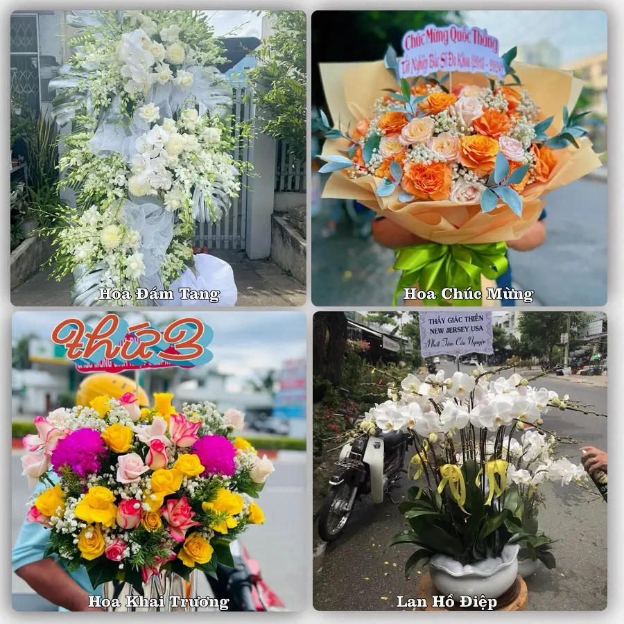 Mẫu hoa tươi dành cho khách đặt hoa tại Chợ Rã, Ba Bể