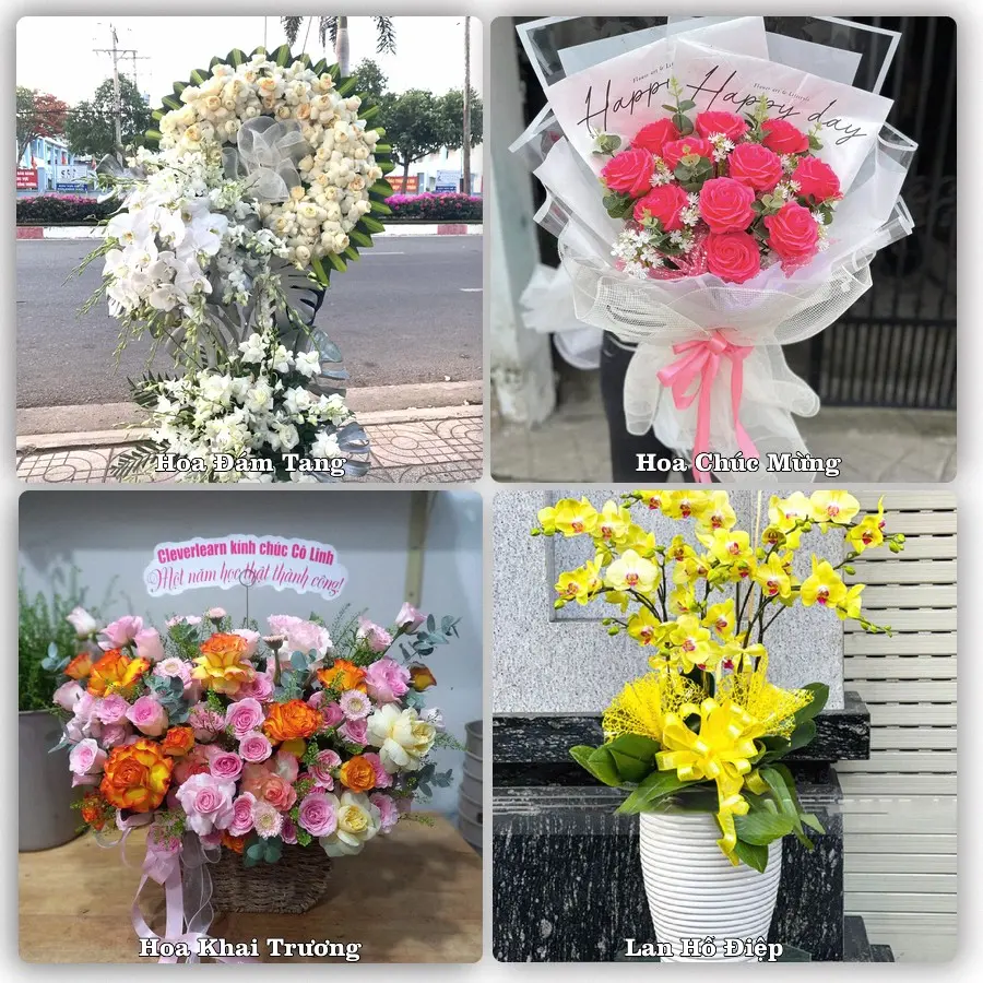 Tư vấn chọn hoa theo từng dịp tại Chợ Rã, Ba Bể