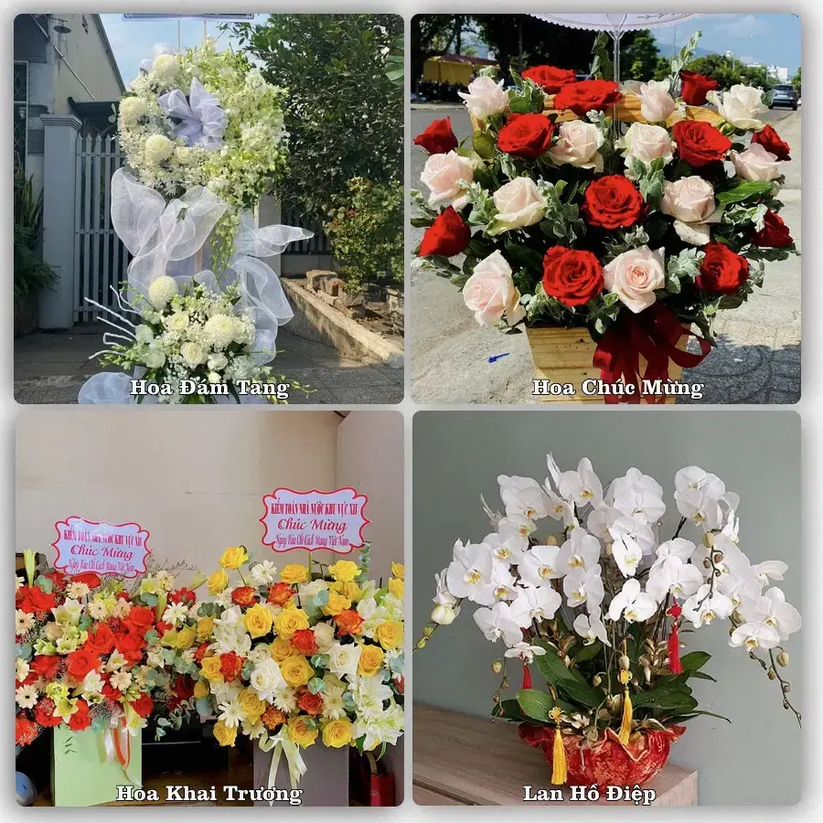 Shop hoa tươi Cô Tô – Nhận giao hoa trong ngày