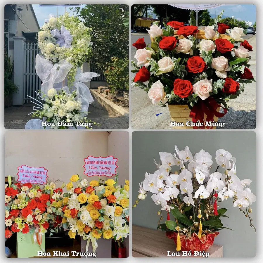 Mẫu hoa tươi dành cho khách đặt hoa tại Cô Tô