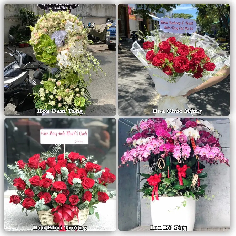 Mẫu hoa tươi dành cho khách đặt hoa tại Con Cuông