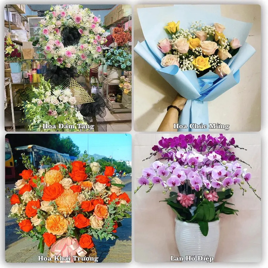 Tư vấn chọn hoa theo từng dịp tại Cồn, Hải Hậu