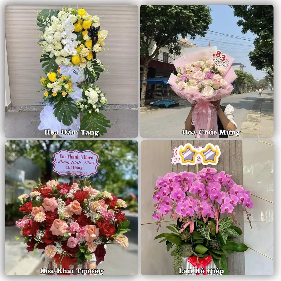 Shop hoa tươi Củng Sơn, Sơn Hòa – Tư vấn chọn mẫu theo dịp