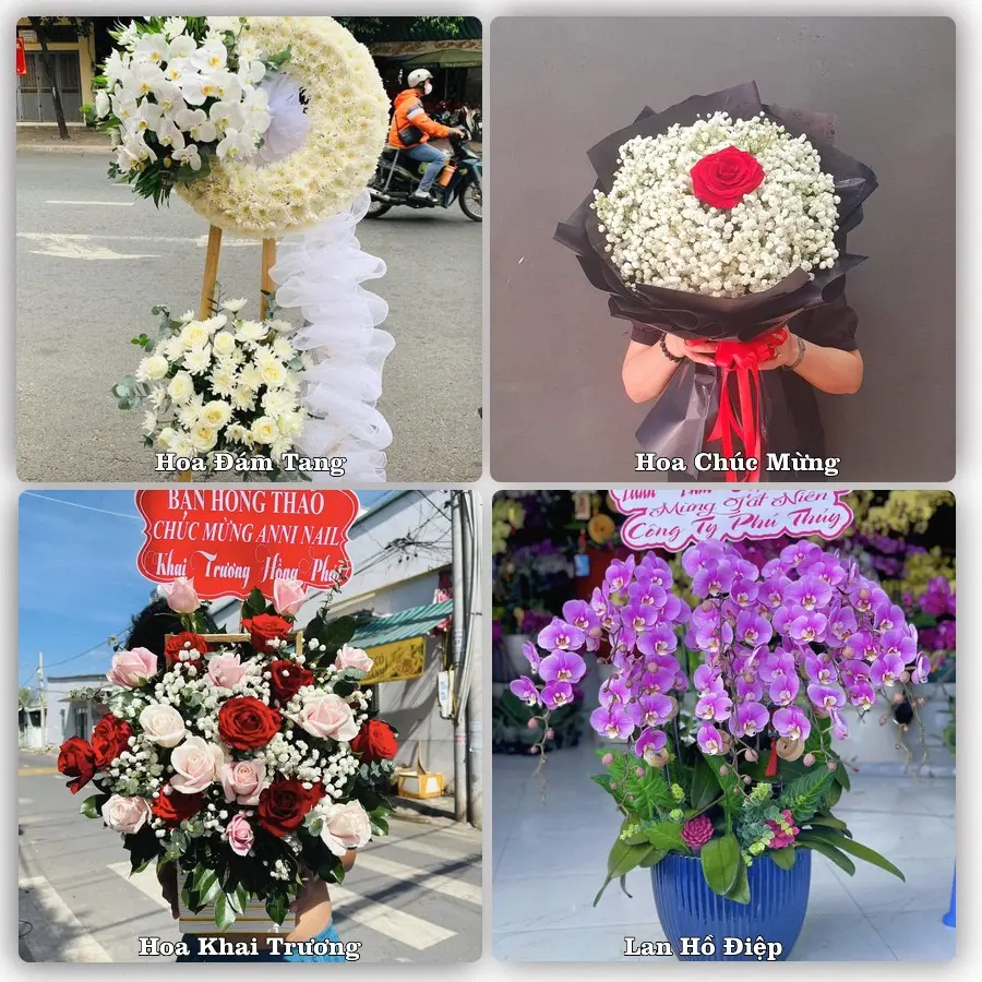 Tư vấn chọn hoa theo từng dịp tại Đà Bắc