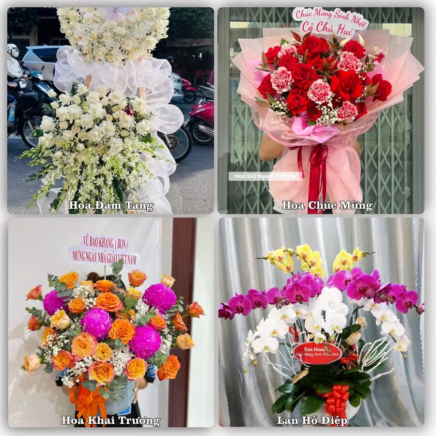 Tư vấn chọn hoa theo từng dịp tại Đại Đình, Tam Đảo