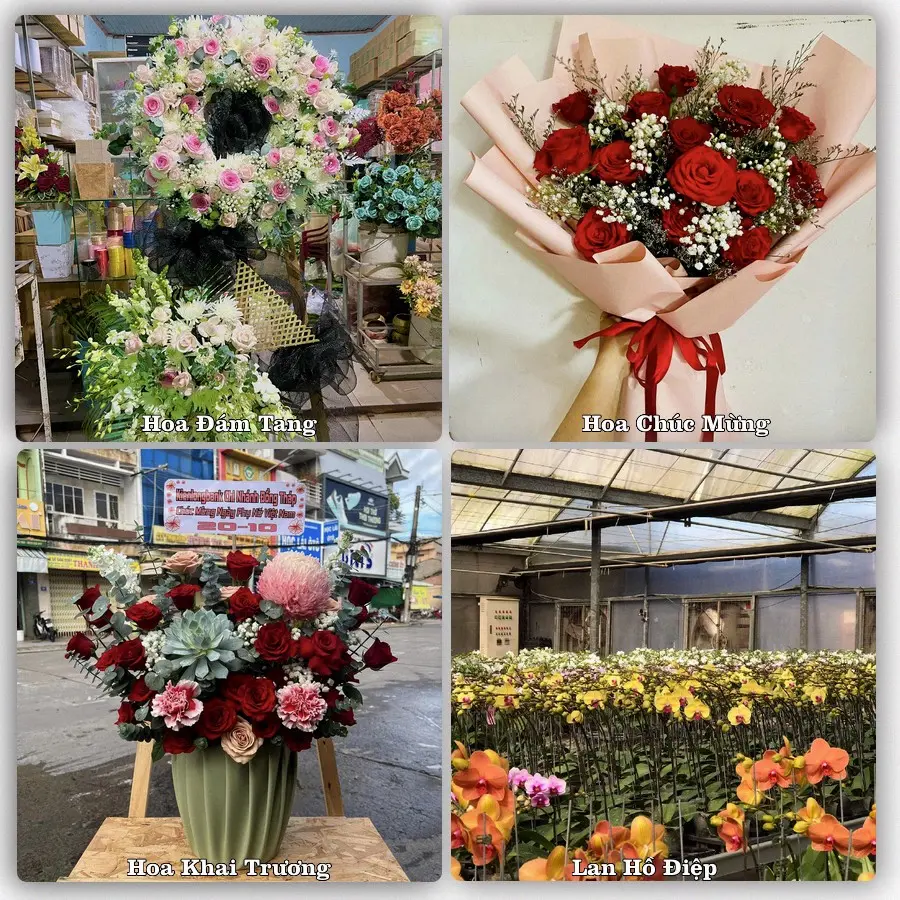 Tư vấn chọn hoa theo từng dịp tại Đăk Đoa