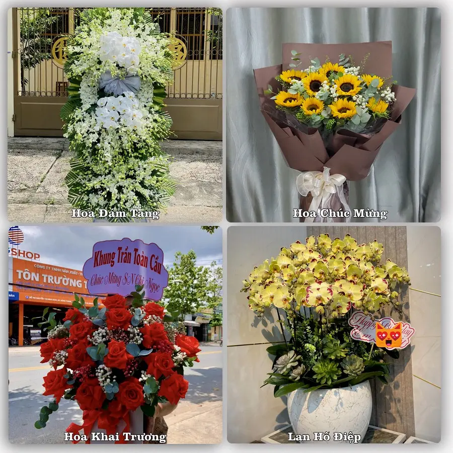 Mẫu hoa tươi dành cho khách đặt hoa tại Đắk Glei