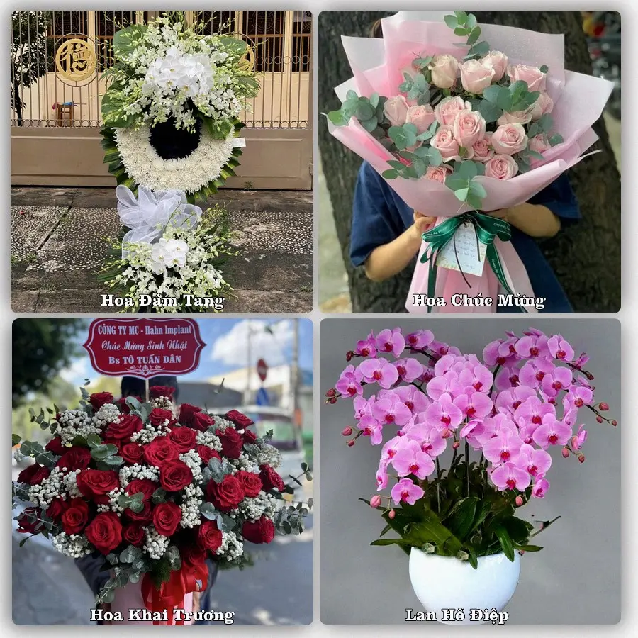 Tư vấn chọn hoa theo từng dịp tại Đắk Glei