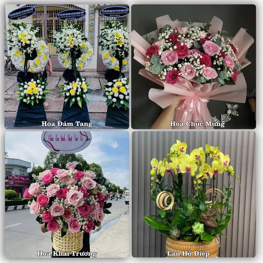 Mẫu hoa tươi dành cho khách đặt hoa tại Đắk Rve, Kon Rẫy