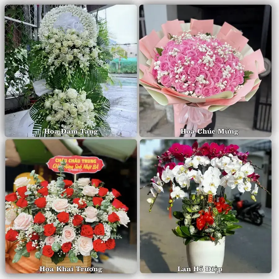 Dịch vụ đặt hoa online giao tận nơi tại Đắk Rve, Kon Rẫy