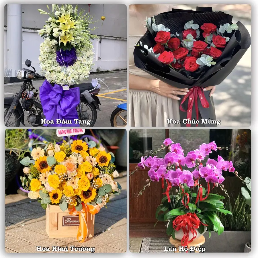 Mẫu hoa tươi dành cho khách đặt hoa tại Đắk Tô