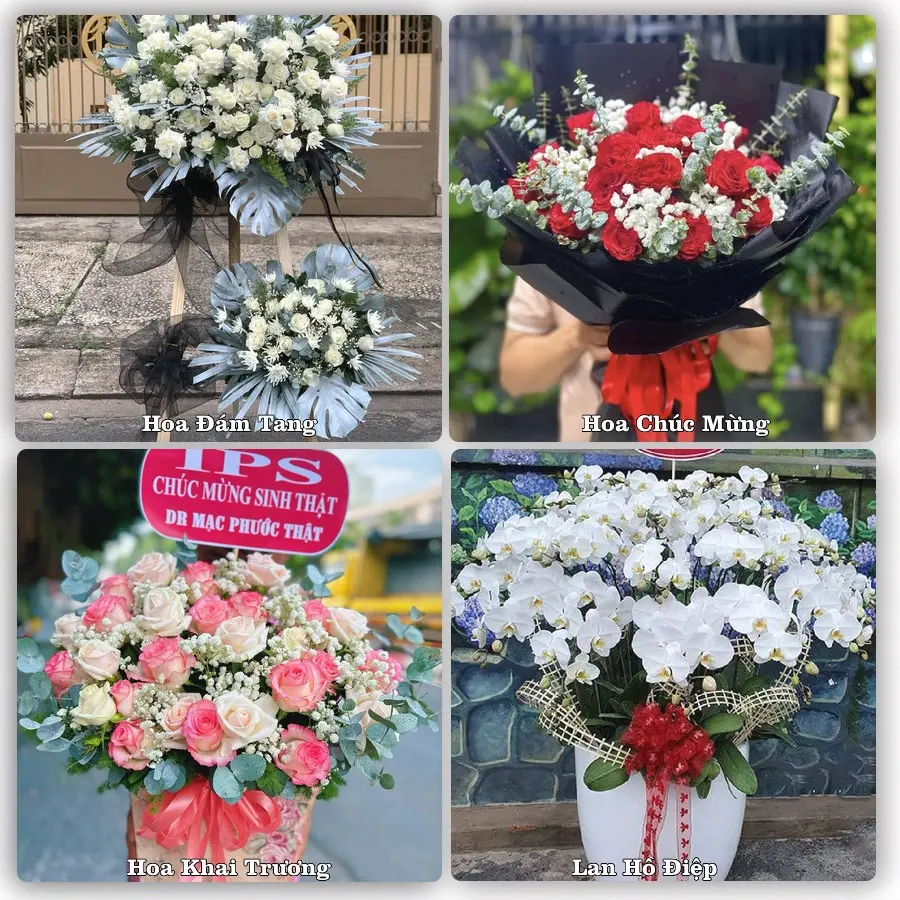 Tư vấn chọn hoa theo từng dịp tại Đầm Hà