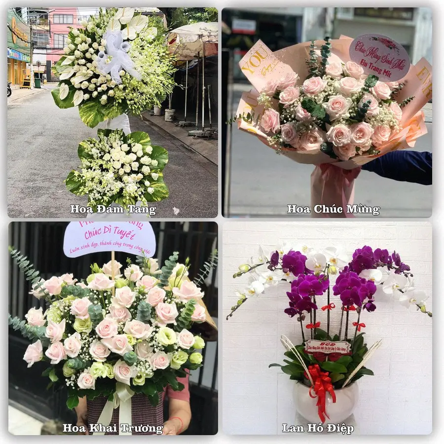 Mẫu hoa tươi dành cho khách đặt hoa tại Diễn Châu