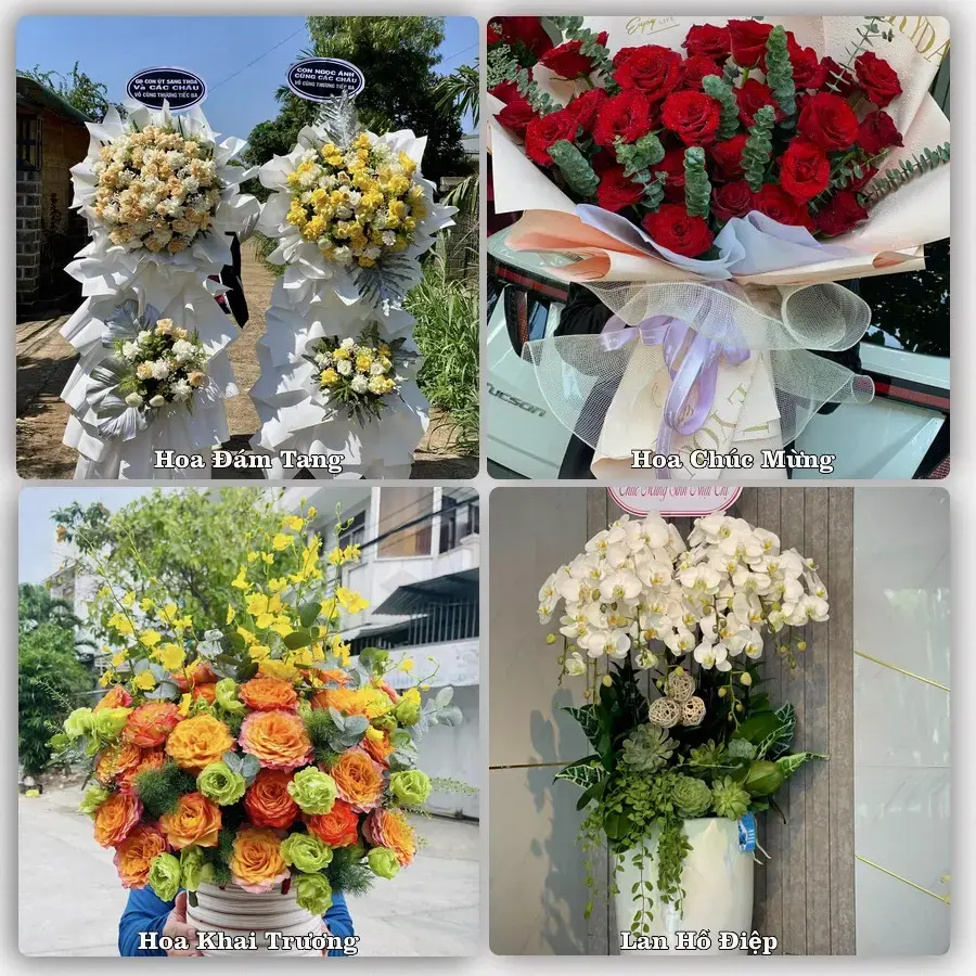 Shop hoa tươi Diêu Trì, Tuy Phước – Nhận giao hoa trong ngày