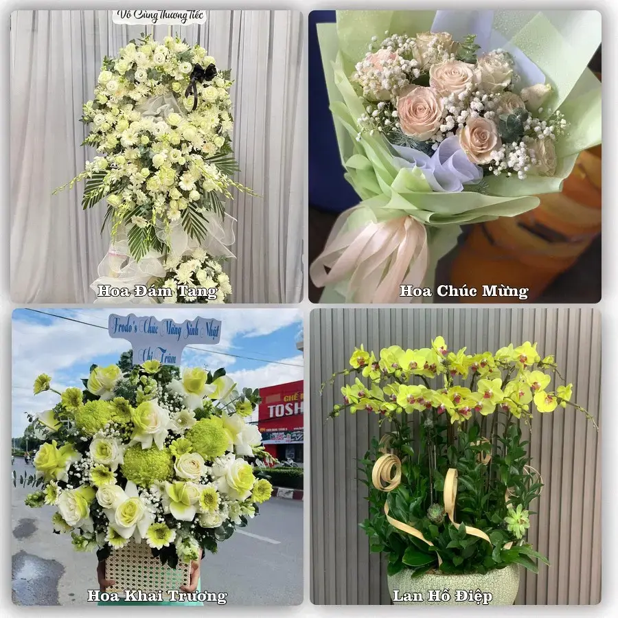 Tư vấn chọn hoa theo từng dịp tại Diêu Trì, Tuy Phước