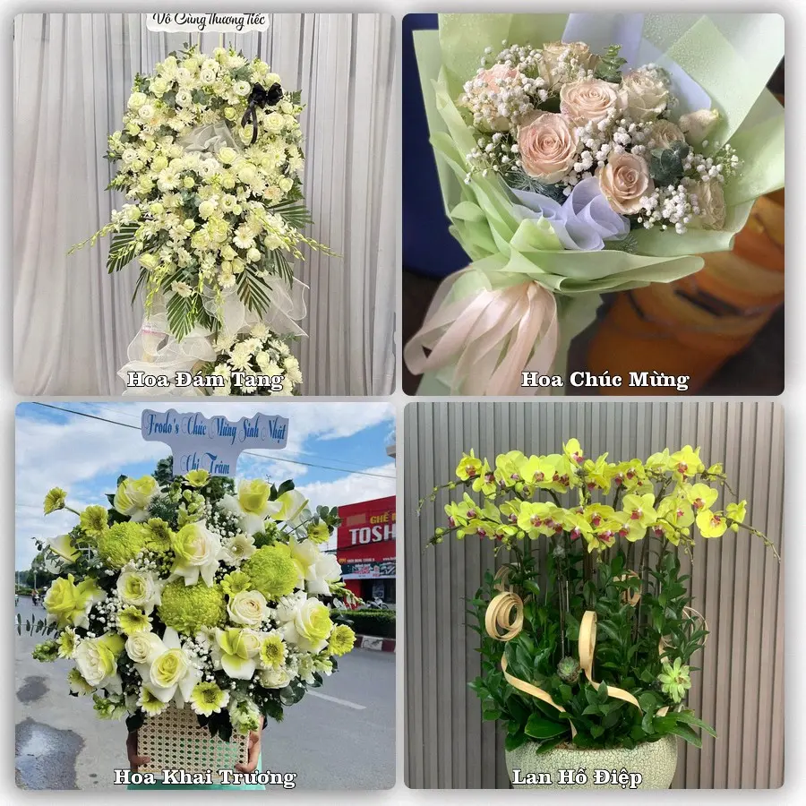 Tư vấn chọn hoa theo từng dịp tại Diêu Trì, Tuy Phước