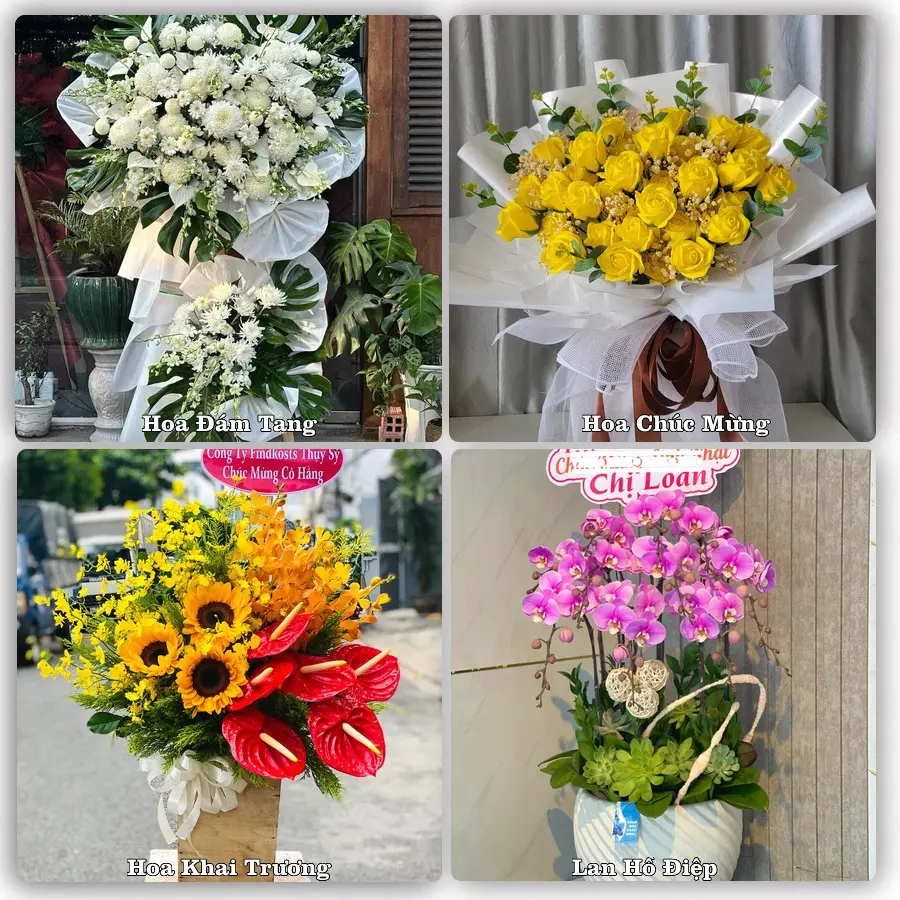 Mẫu hoa tươi dành cho khách đặt hoa tại Đình Lập