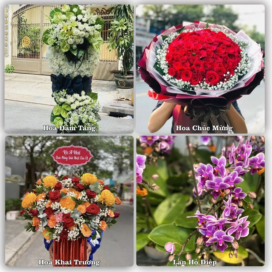 Mẫu hoa tươi dành cho khách đặt hoa tại Đoan Hùng
