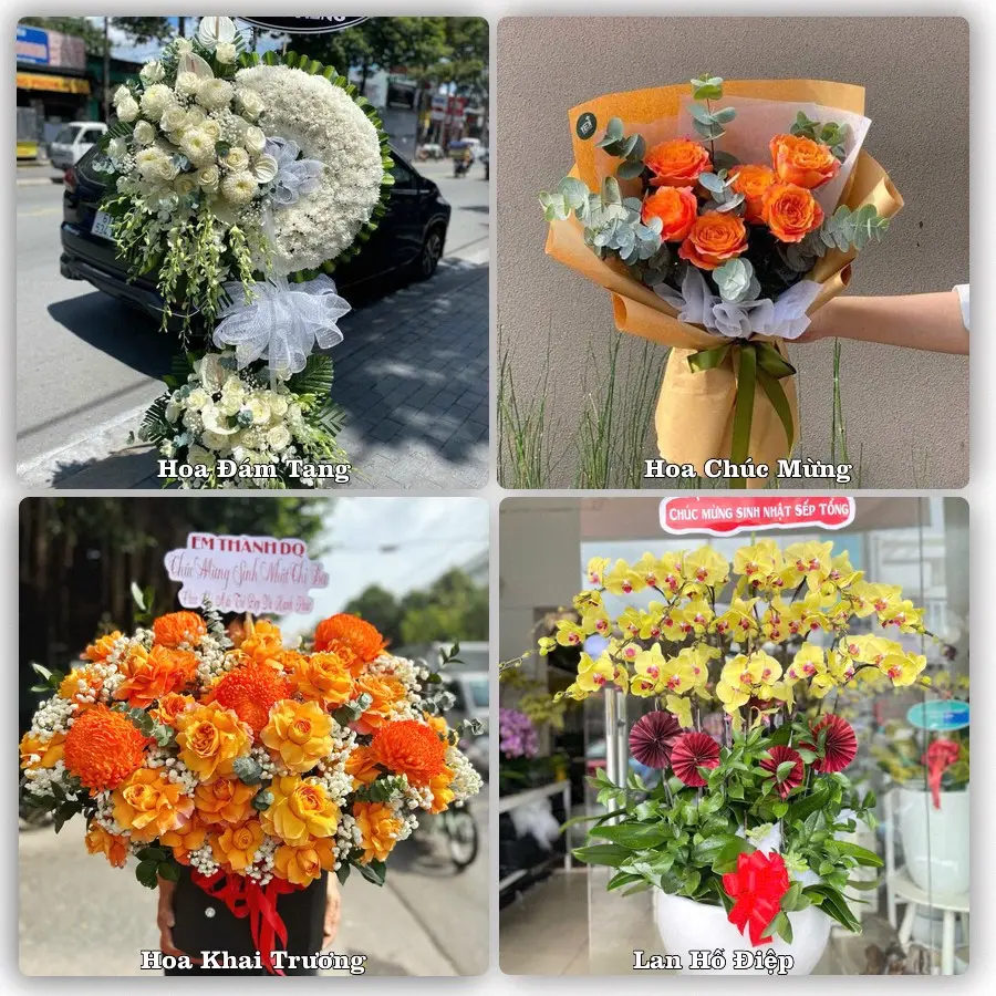 Tư vấn chọn hoa theo từng dịp tại Đoan Hùng