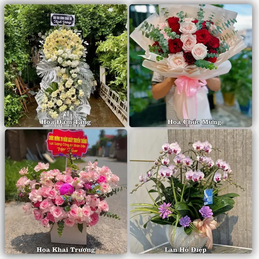 Shop hoa tươi Đồi Ngô, Lục Nam – Đặt online, giao tận nơi