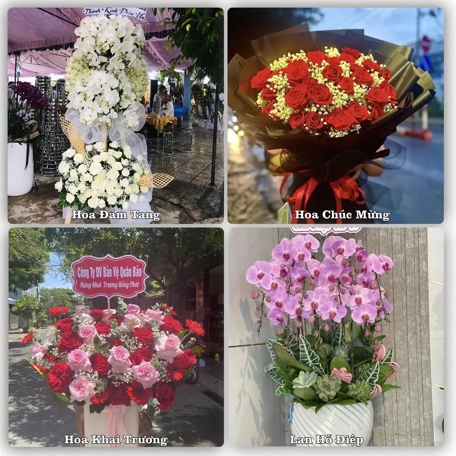 Mẫu hoa tươi dành cho khách đặt hoa tại Đồng Đăng, Cao Lộc