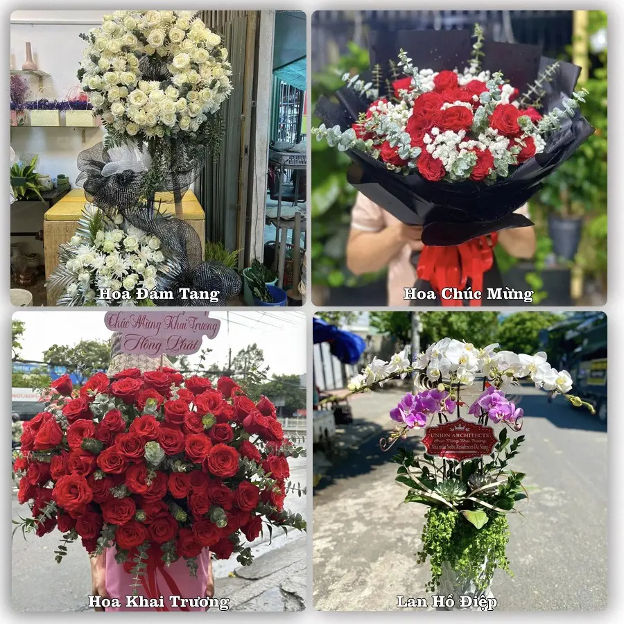 Tư vấn chọn hoa theo từng dịp tại Đồng Đăng, Cao Lộc