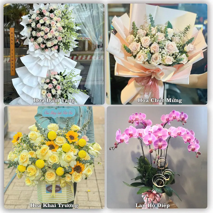 Mẫu hoa tươi dành cho khách đặt hoa tại Đông Hưng