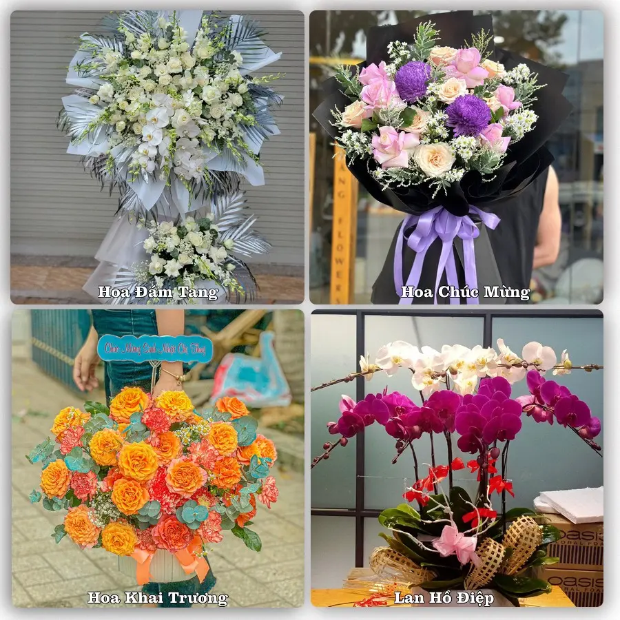 Tư vấn chọn hoa theo từng dịp tại Đông Hưng
