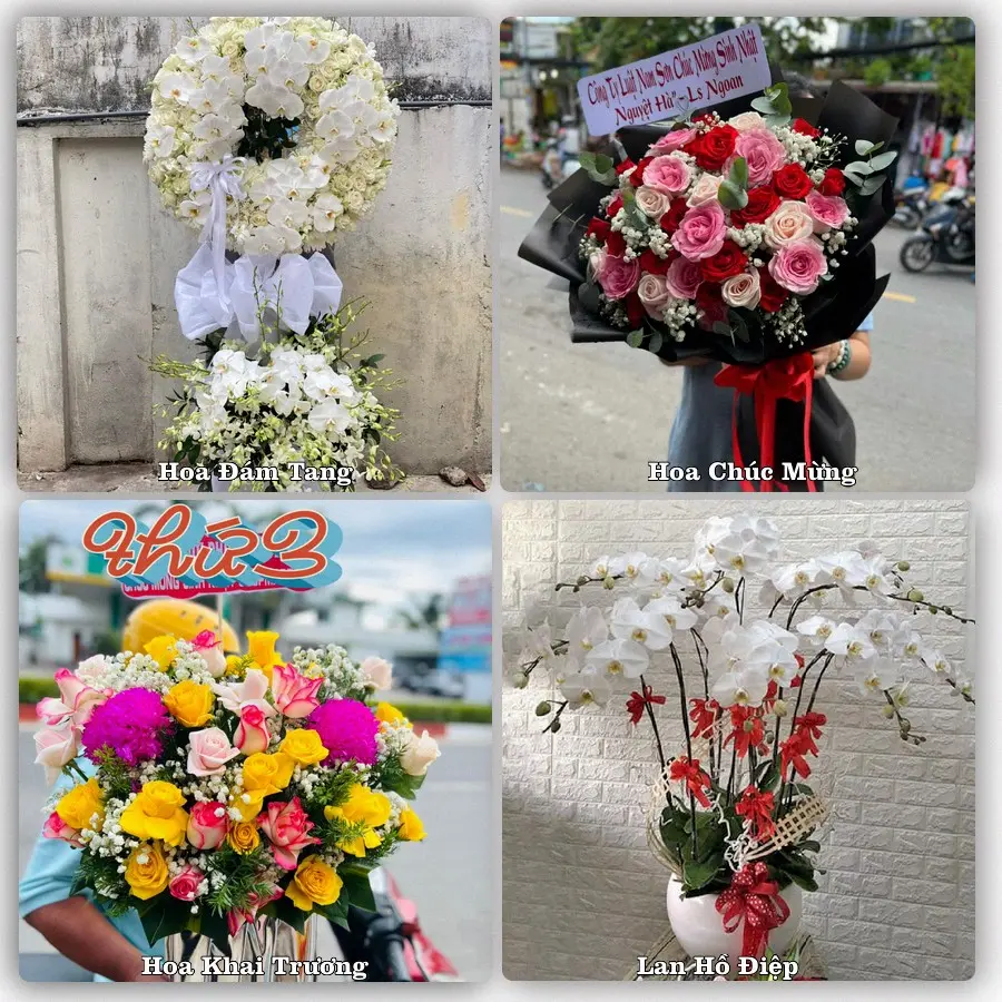 Mẫu hoa tươi dành cho khách đặt hoa tại Đông Khê, Thạch An
