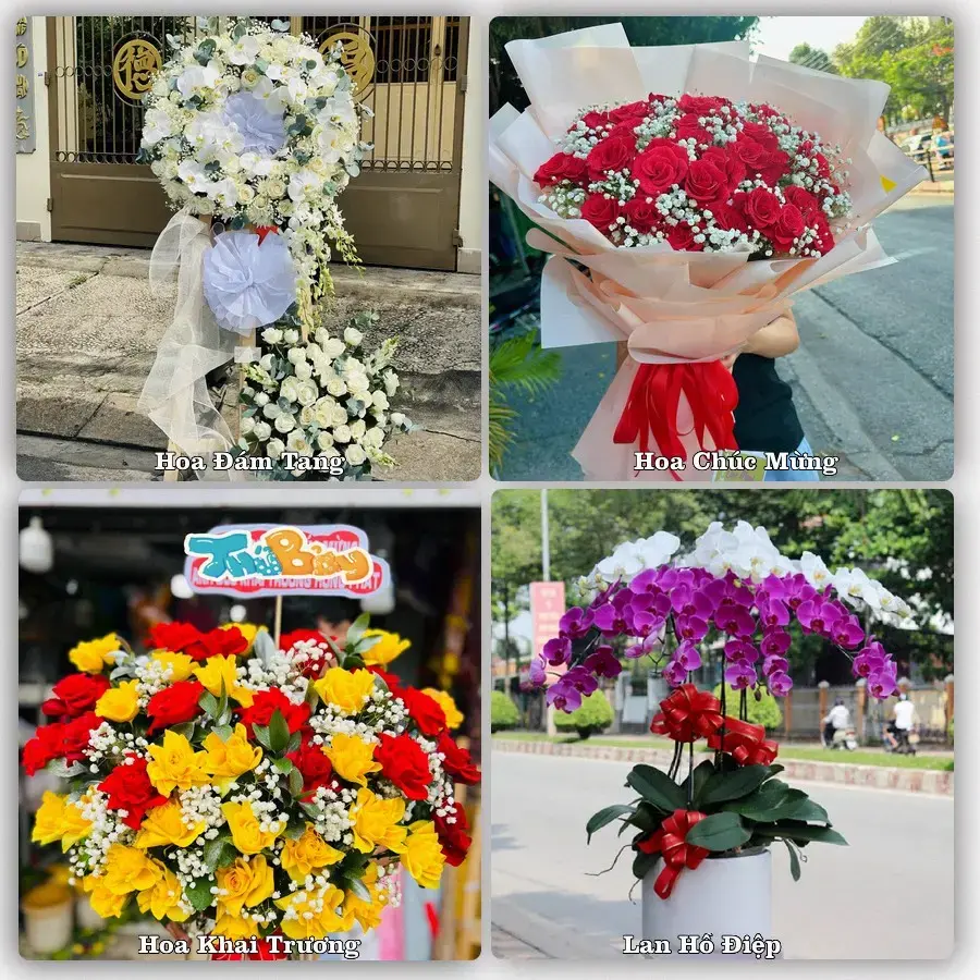 Tư vấn chọn hoa theo từng dịp tại Đông Khê, Thạch An