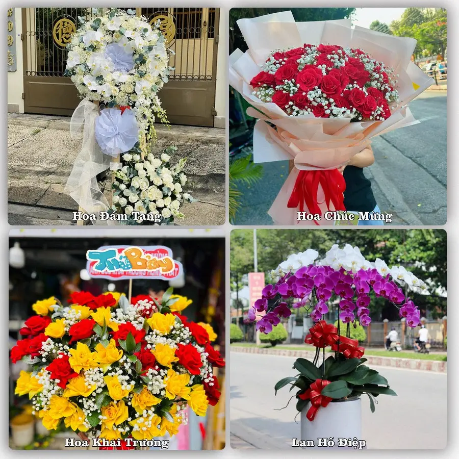 Tư vấn chọn hoa theo từng dịp tại Đông Khê, Thạch An