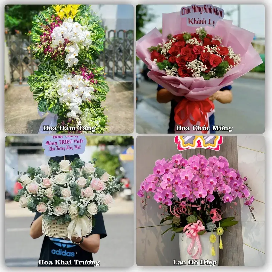 Shop hoa tươi Đồng Lê, Tuyên Hóa – Đặt online, giao tận nơi