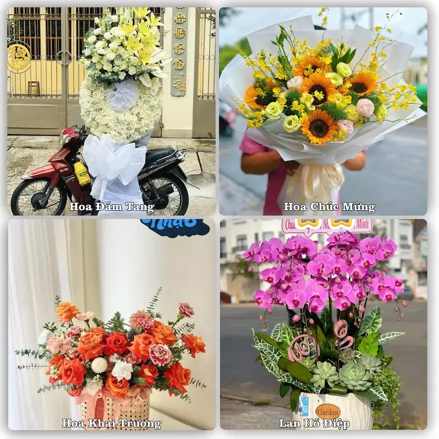 Tư vấn chọn hoa theo từng dịp tại Đồng Lê, Tuyên Hóa