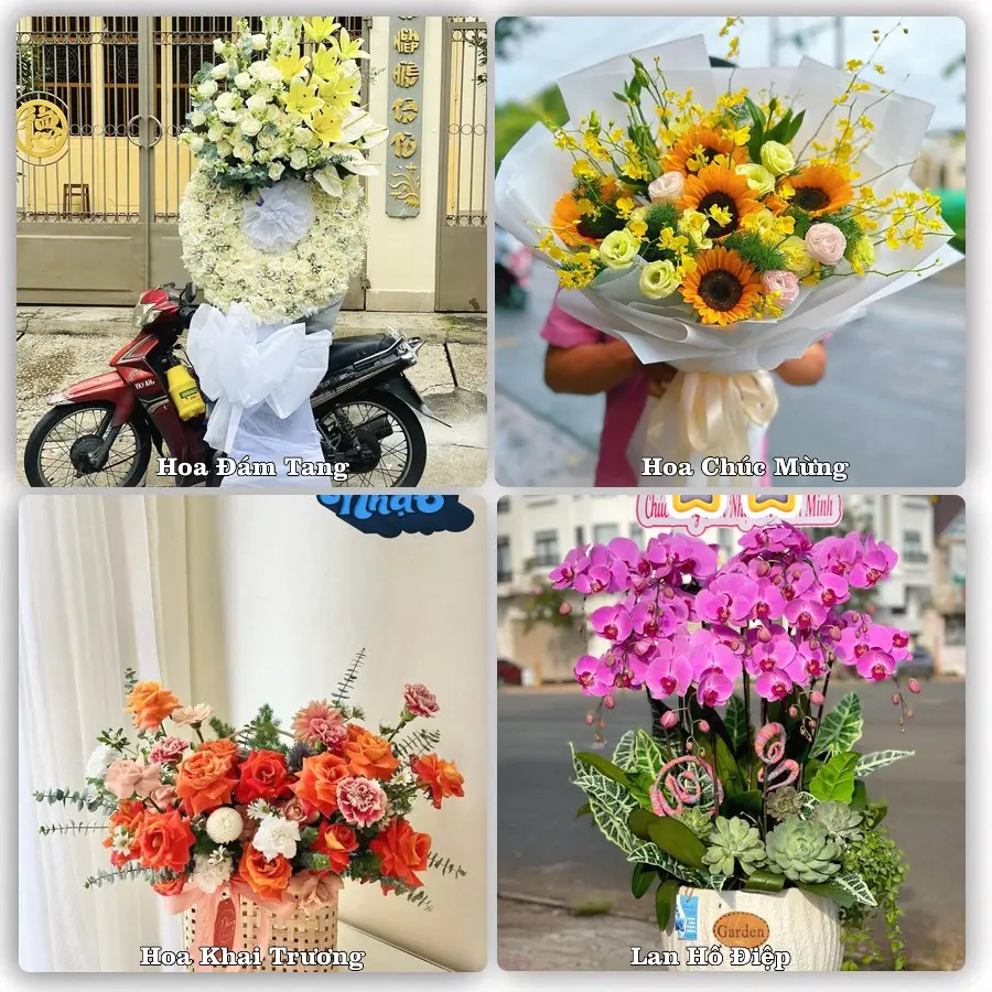 Tư vấn chọn hoa theo từng dịp tại Đồng Lê, Tuyên Hóa