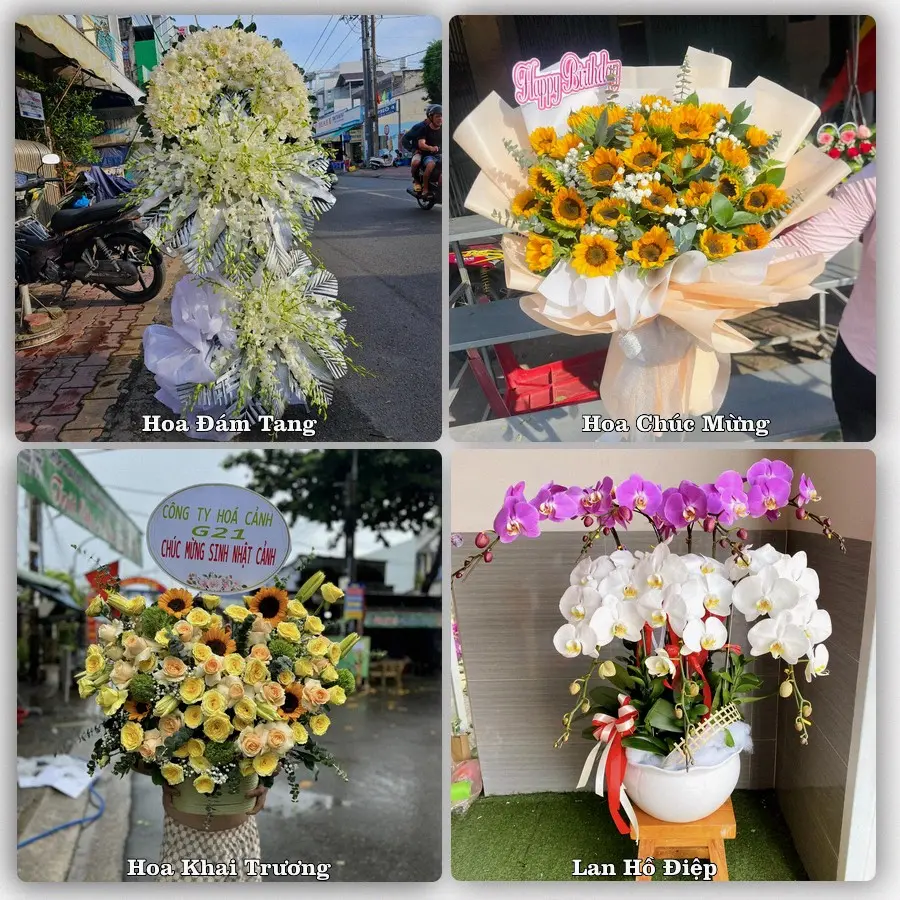 Tư vấn chọn hoa theo từng dịp tại Đông Phú, Quế Sơn