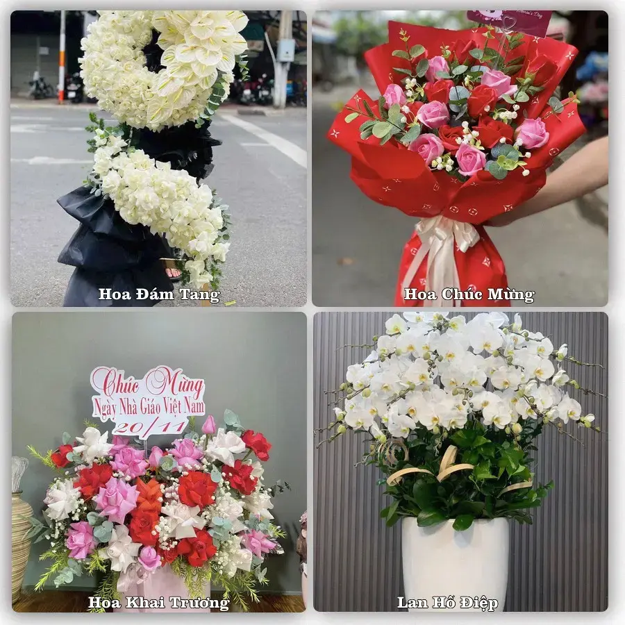 Tư vấn chọn hoa theo từng dịp tại Đồng Văn