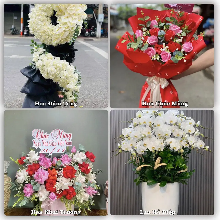 Tư vấn chọn hoa theo từng dịp tại Đồng Văn