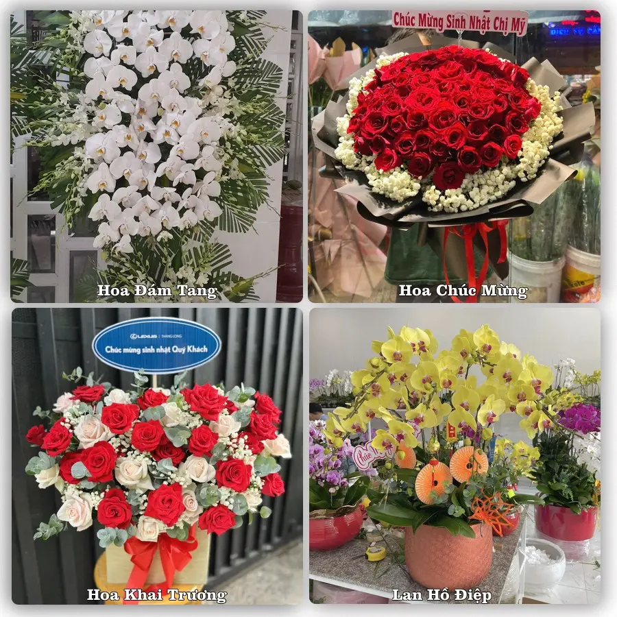 Mẫu hoa tươi dành cho khách đặt hoa tại Đu, Phú Lương