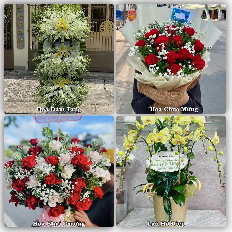 Tư vấn chọn hoa theo từng dịp tại Đu, Phú Lương