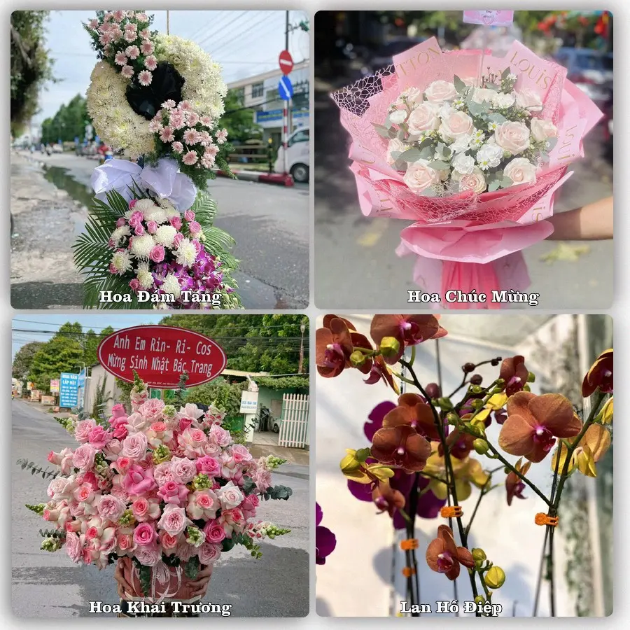 Tư vấn chọn hoa theo từng dịp tại Đức Thọ