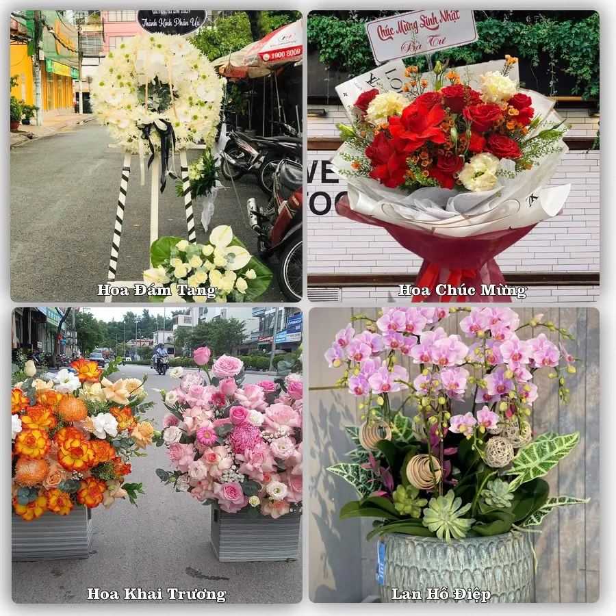 Mẫu hoa tươi dành cho khách đặt hoa tại Gio Linh