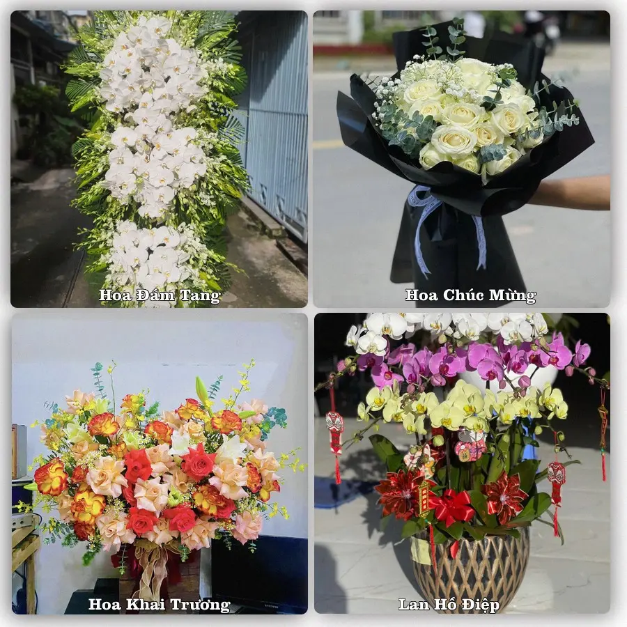 Tư vấn chọn hoa theo từng dịp tại Gio Linh