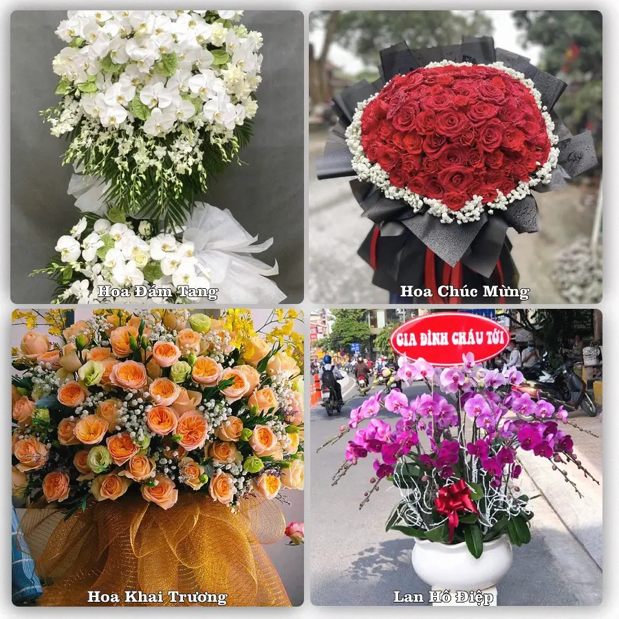 Mẫu hoa tươi dành cho khách đặt hoa tại Hạ Hoà