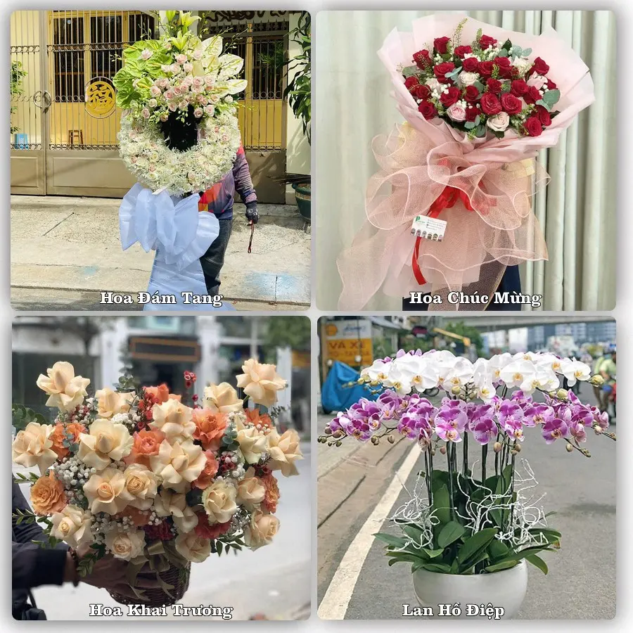 Tư vấn chọn hoa theo từng dịp tại Hát Lót, Mai Sơn