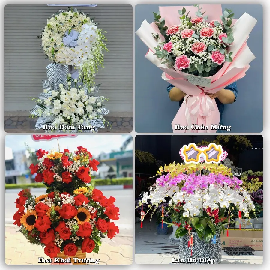 Mẫu hoa tươi dành cho khách đặt hoa tại Hậu Lộc