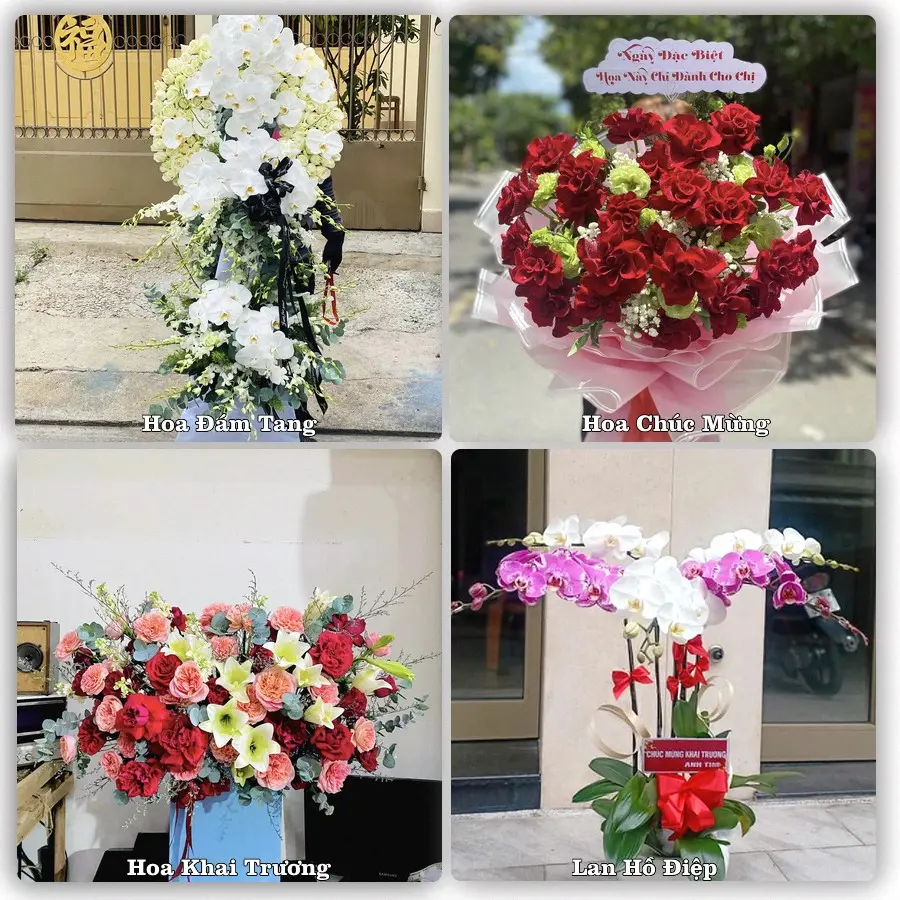 Mẫu hoa tươi dành cho khách đặt hoa tại Hồ, Thuận Thành