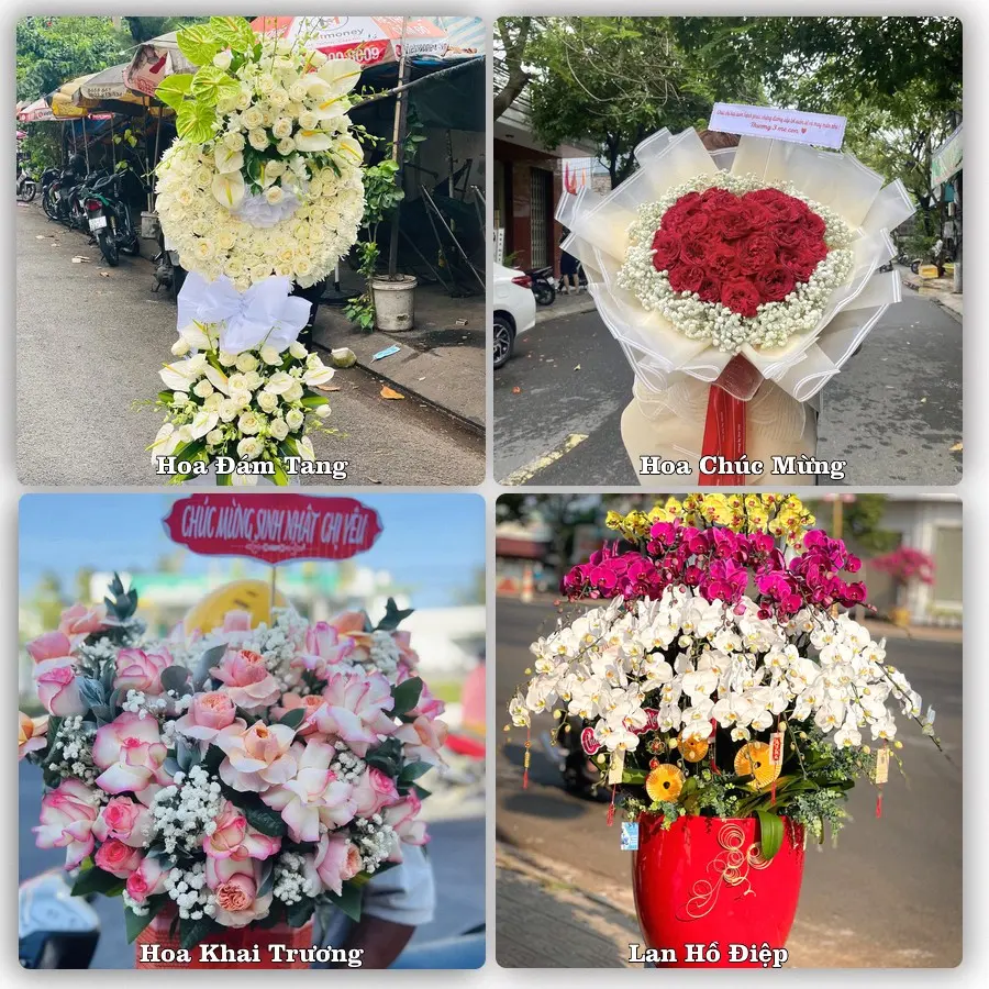 Tư vấn chọn hoa theo từng dịp tại Hồ Xá, Vĩnh Linh