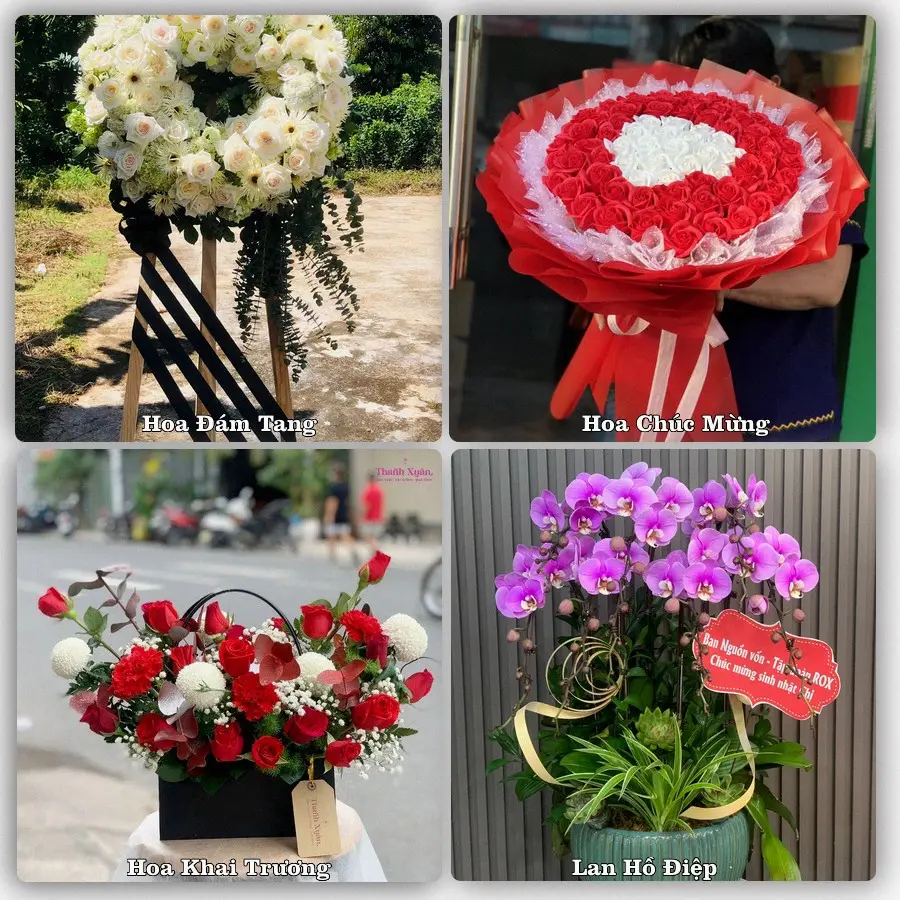 Mẫu hoa tươi dành cho khách đặt hoa tại Hoà Thuận, Quảng Hòa